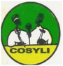 COSYLI (Conseil National Des Organisations Syndicales Libres Au Rwanda) logo