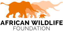 African Wildlife Foundation logo