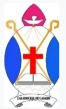 EAR Gatore logo