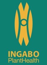 Ingabo Plant Health Ltd logo