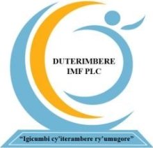 DUTERIMBERE IMF PLC  logo